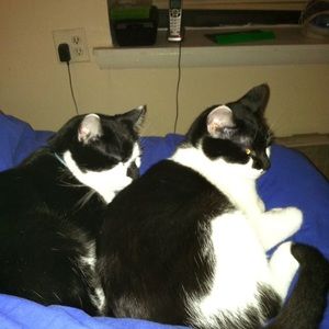 Meet your Posher, Jeanette